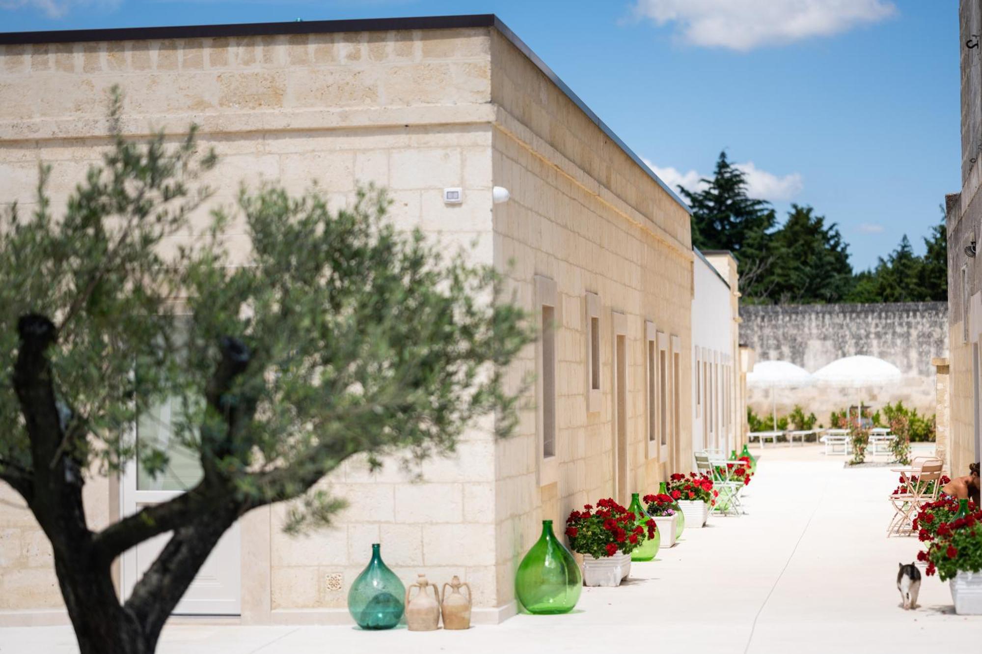 Masseria Spiga Gravina in Puglia Exteriör bild