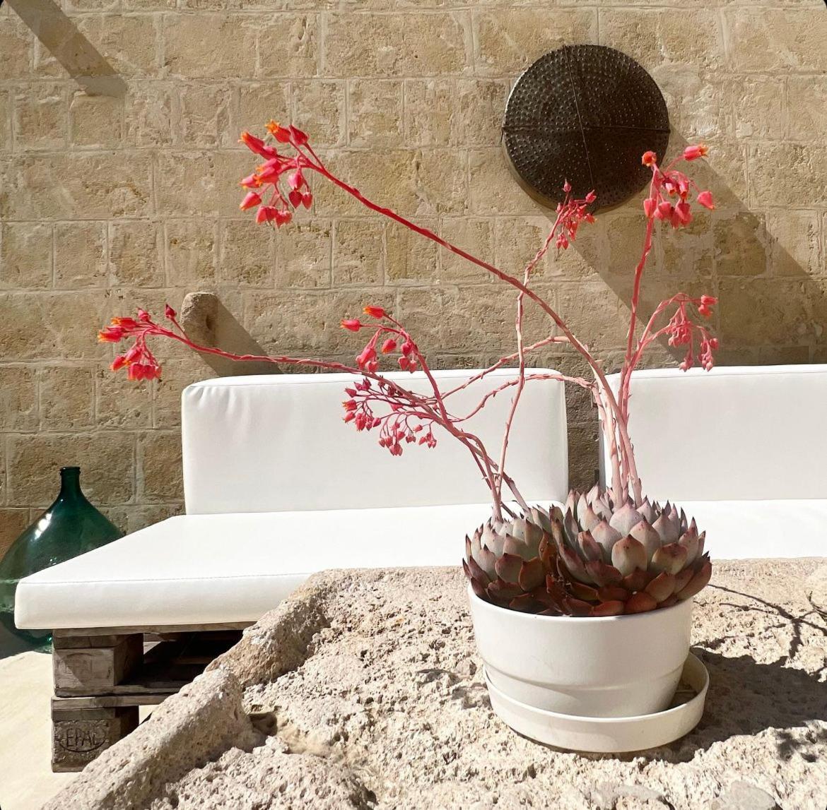 Masseria Spiga Gravina in Puglia Exteriör bild