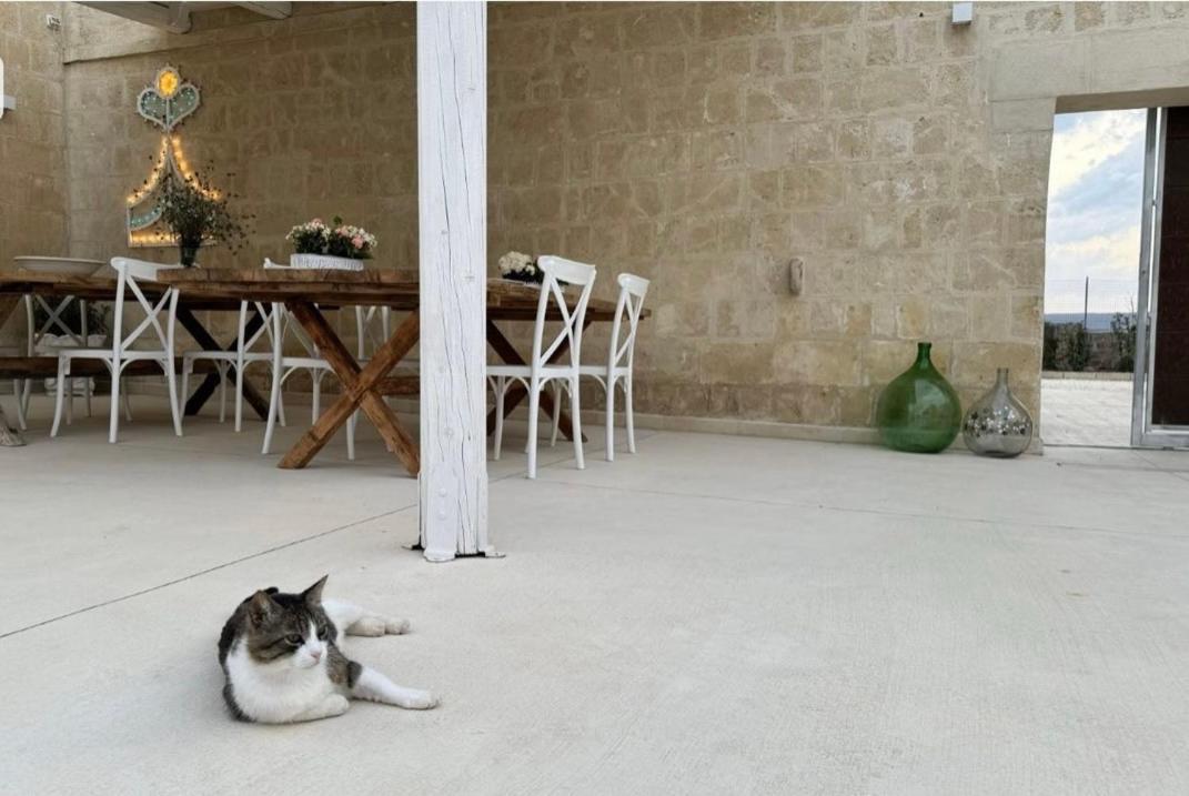 Masseria Spiga Gravina in Puglia Exteriör bild